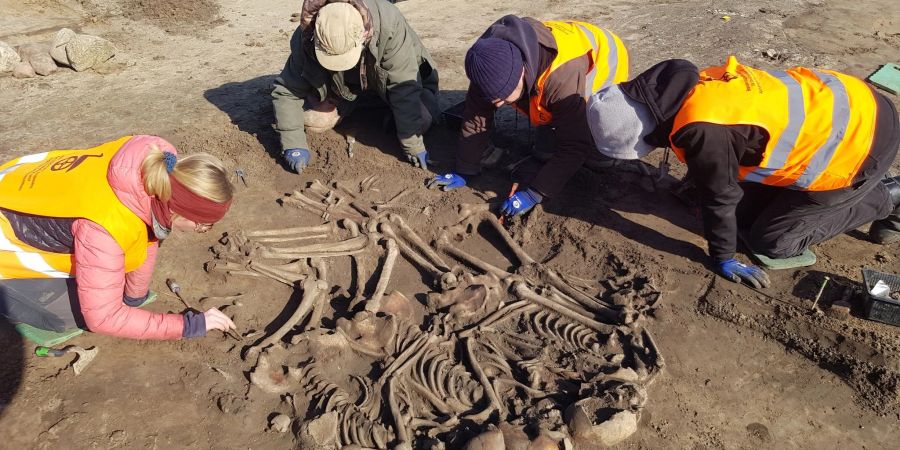 Archäologen haben bei Wustermark im Landkreis Havelland eine Jahrtausende alte Grabstätte mit Überresten mehrerer Menschen entdeckt.