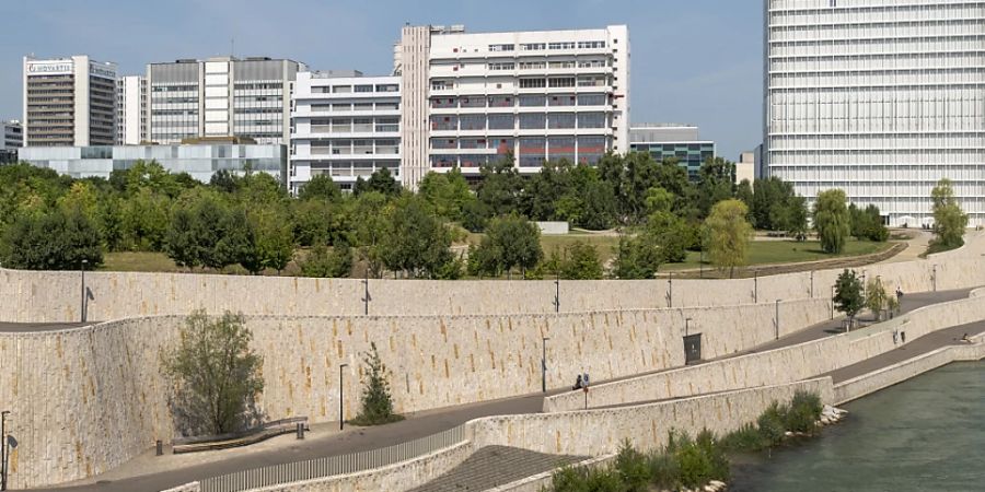 Pharmaindustrie erzielt höhere Rendite auf Investitionen in Forschung (Symbolbild; Novartis-Campus)