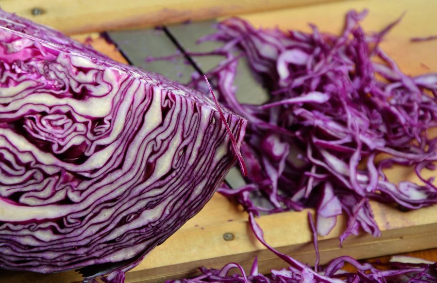 Rotkohl geschnitten gehobelt