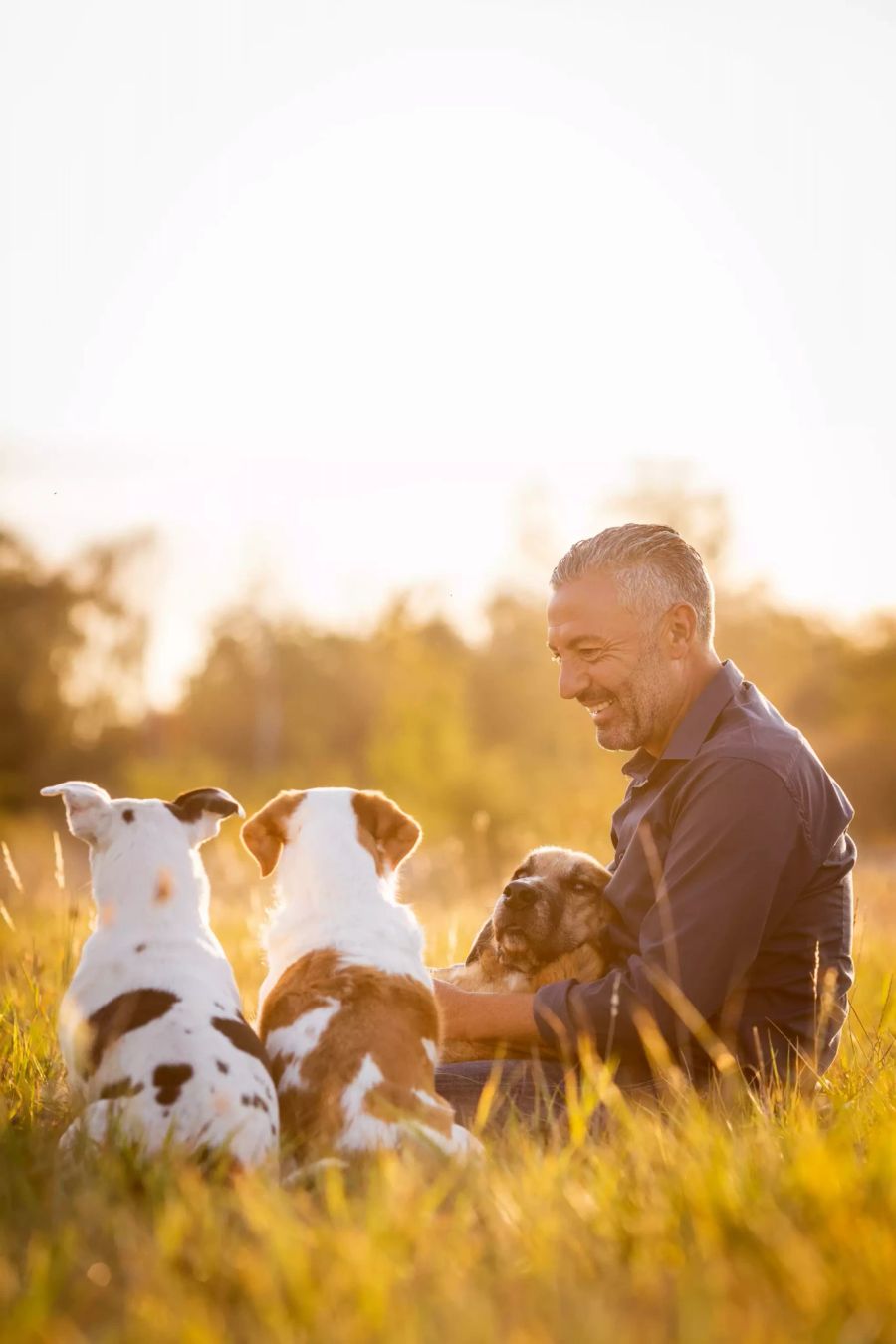 Mann Wiese hohes Gras Hunde