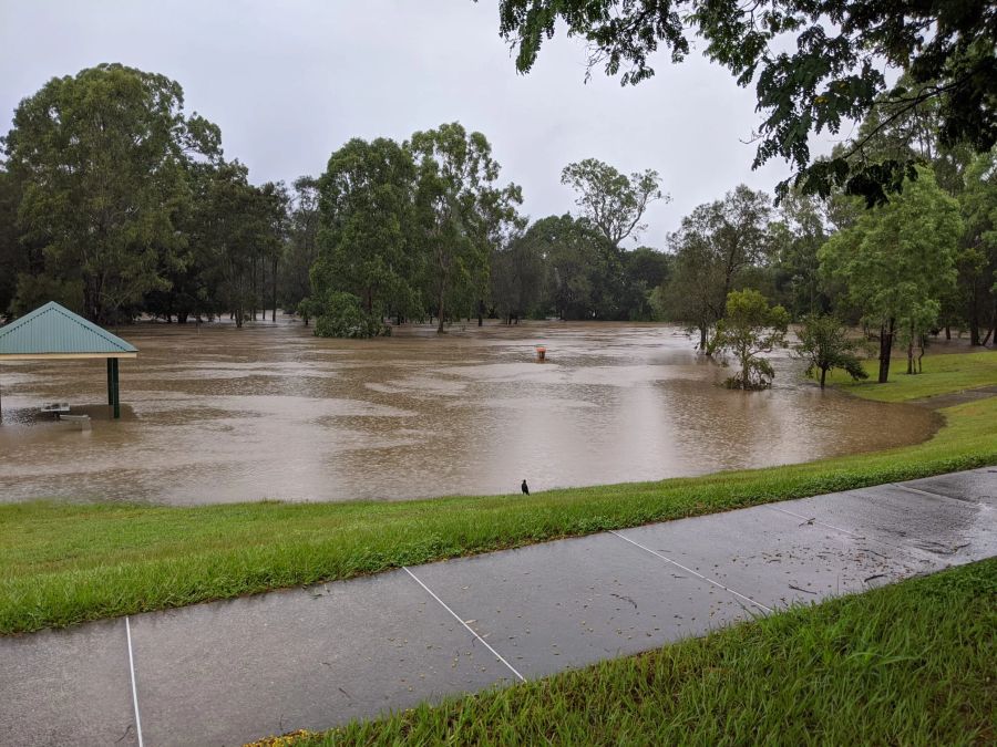 Seit Tagen fällt im australischen Brisbane heftiger Regen.