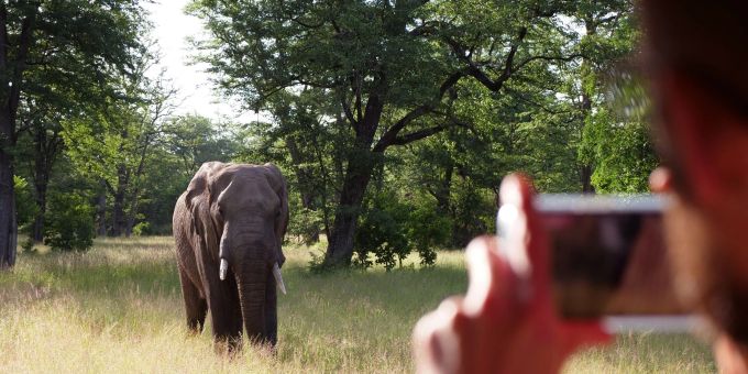 Partner - Tourismus ohne Leid: So geht tierfreundliches Reisen