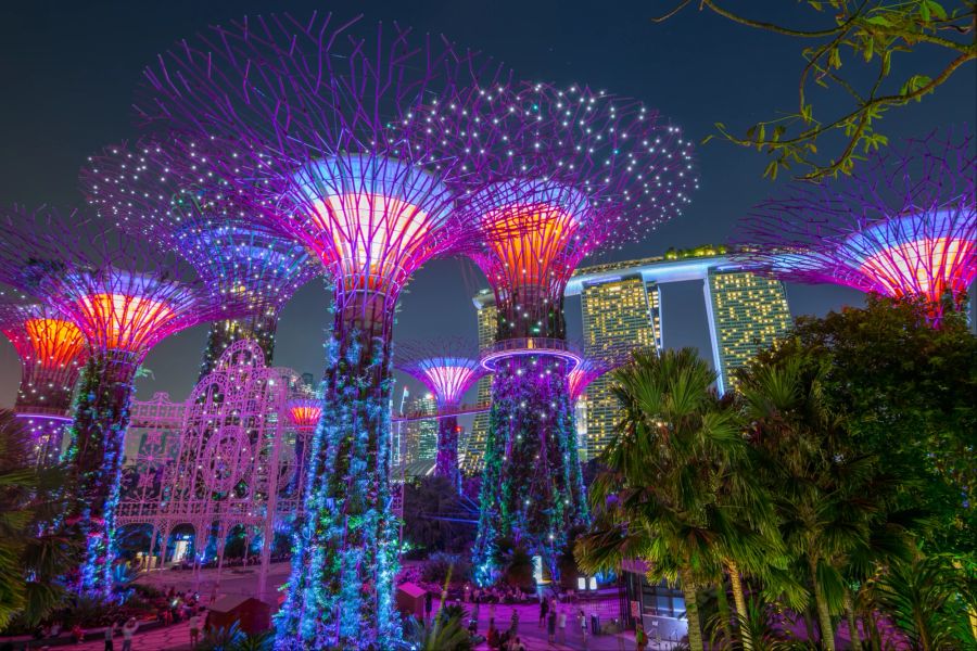 Nachtansicht des Supertree Grove in Gardens by the Bay Singapur.