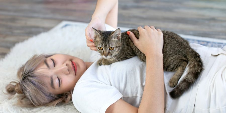 Katze mit Frau auf dem Teppich