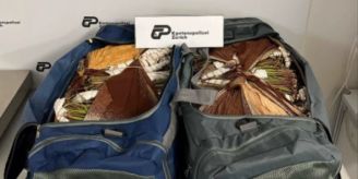 Khat sichergestellt - Drogenkurier (34) am Flughafen Zürich verhaftet