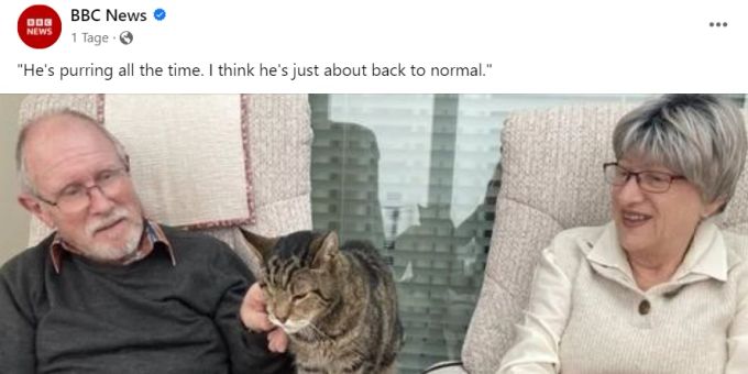 Drei Monate vermissten die Chards ihren Kater Tigger – bis sie ihn plötzlich in einer Fernsehshow sahen. katze sendung bbc
