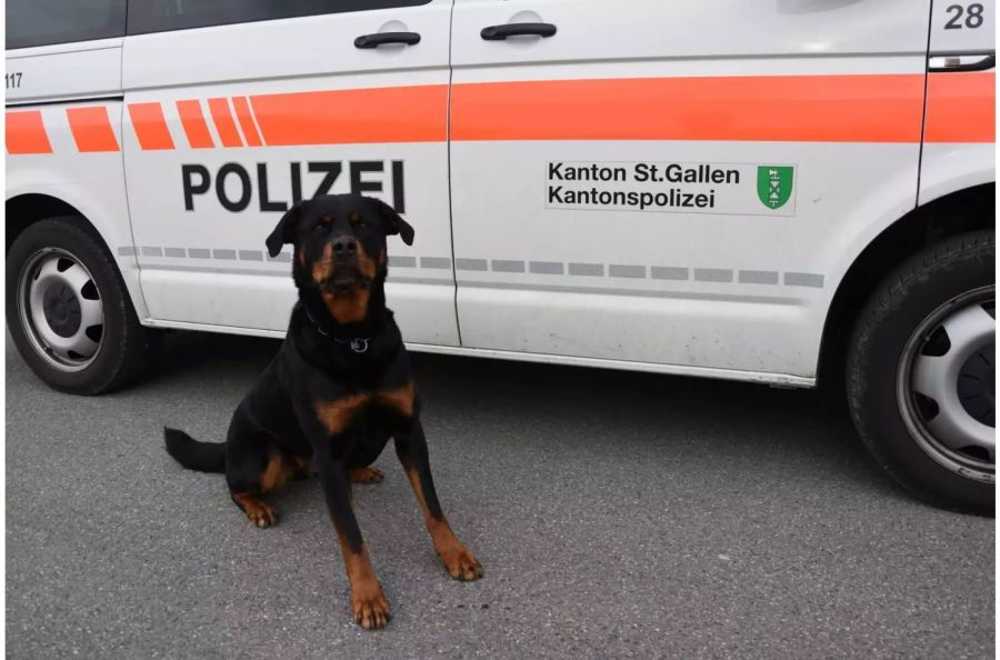 Polizeihund, Rottweilerhündin Yodi