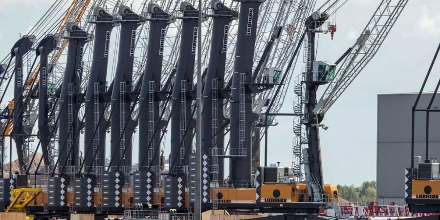 Alles begann mit Baukranen: Hier mobile Industriekrane am Seehafen von Rostock, auf dem Freigelände der Kranbaufirma Liebherr.