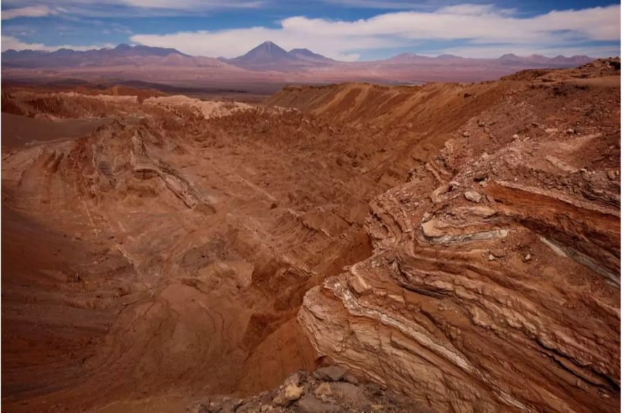 Die chilenische Atacama-Wüste bringt immer wieder interessante Funde hervor.