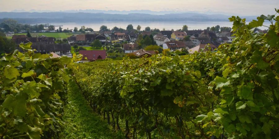 Bei Sugiez, zu Beginn der Wanderung, zvg.