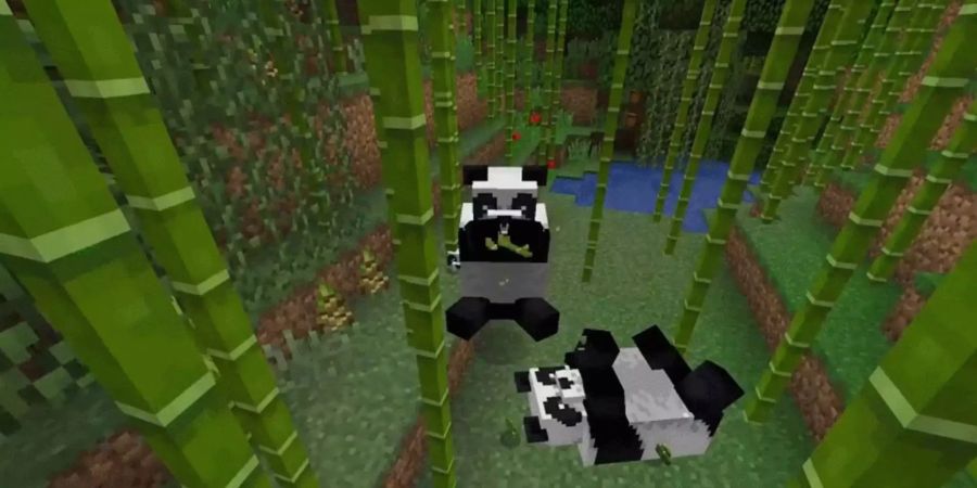 Einige Minecraft Pandas, welche Bambus essen.