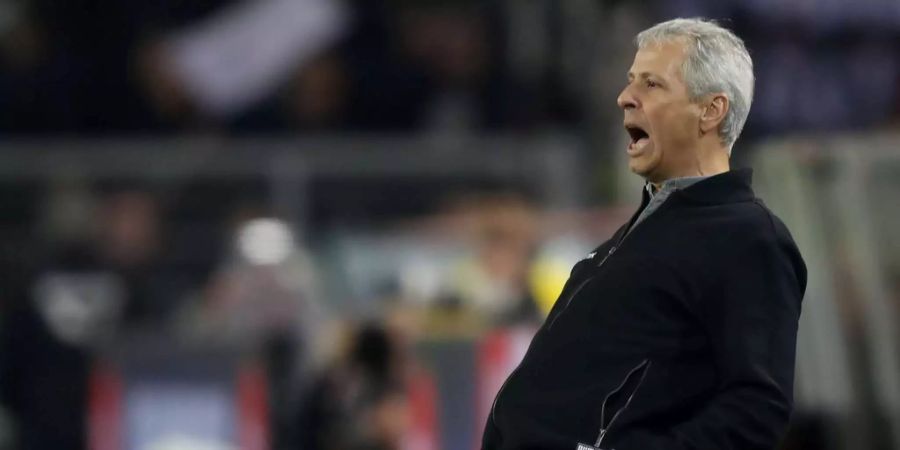 Lucien Favre BVB