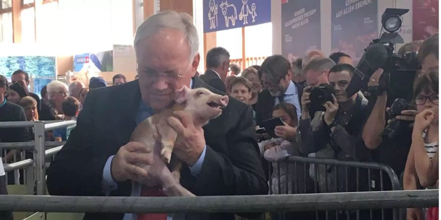 Bundesrat Johann Schneider Ammann kuschelt mit Olma-Säuli, das schreit wie am Spiess.