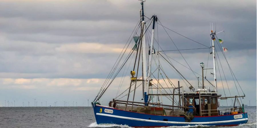 Ein Fischerboot vor Cuxhaven (D) fährt auf dem Wattenmeer.
