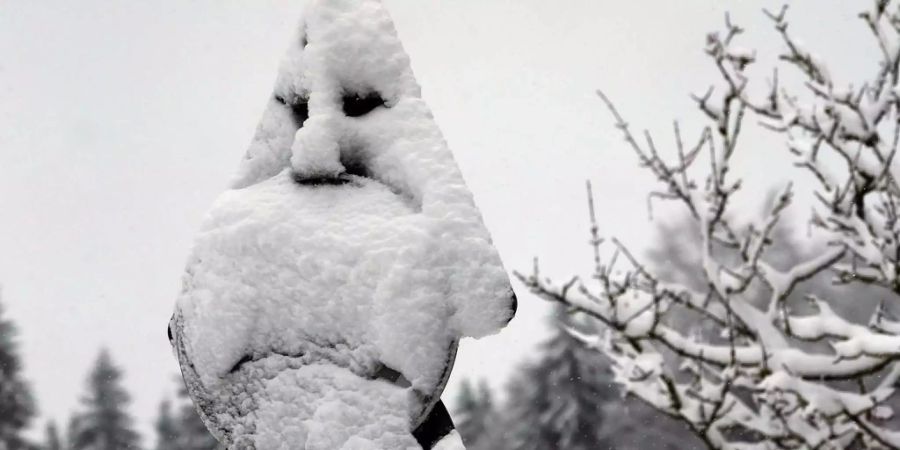 Der Effekt, wenn man plötzlich Gesichter in Objekten sieht, nennt man Pareidolie.