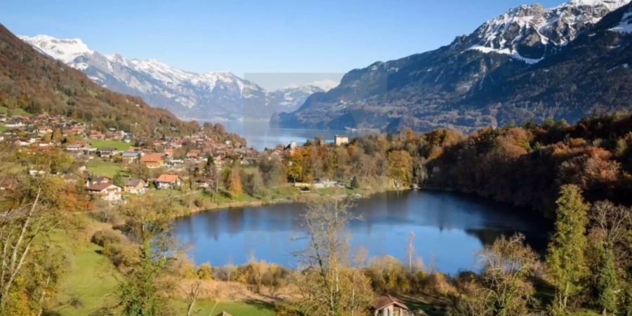 In Goldswil BE ist heute Samstag ein 13-jähriger Tourist im Burgseeli ertrunken.