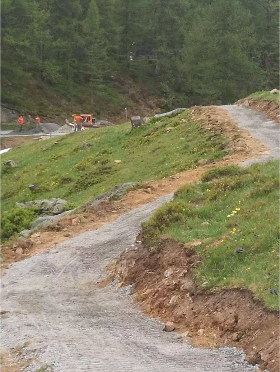 Nach der Räumung wurden die Wanderwege neu errichtet