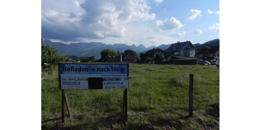 Landidyll statt Kriegsgebiet. 2013 fliegt die Familie Serieh aus Damaskus (SYR) ins Berner Oberland.