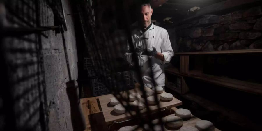 Andrea Palazzini, veganer Koch, bei der Zubereitung eines veganen Käses mit dem Geschmack von Gorgonzola, im Chalet-Restaurants Stella Alpina.