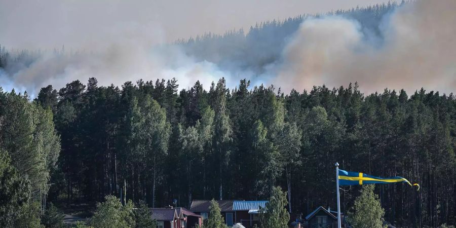 Für Schweden sind die zahlreichen Waldbrände eher unüblich.