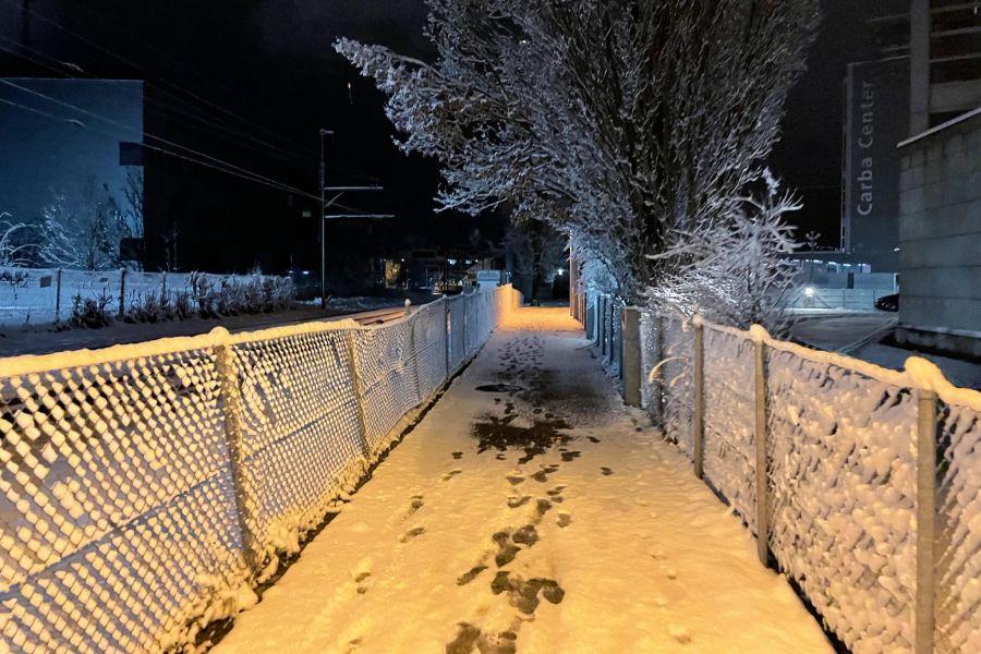 Am Freitagmorgen erwacht die Schweiz dann zu einer schönen Schicht Schnee.