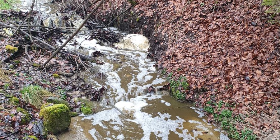 Verschmutzung von Wasserläufen in St. Ursen