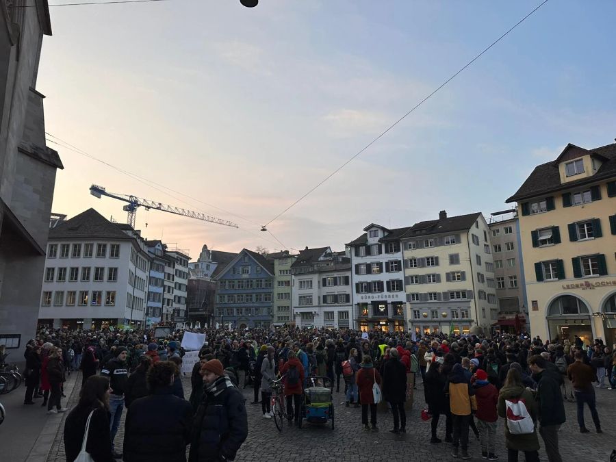 Am Klimastreik in Zürich waren nach ersten Schätzungen rund 4000 Menschen anwesend.