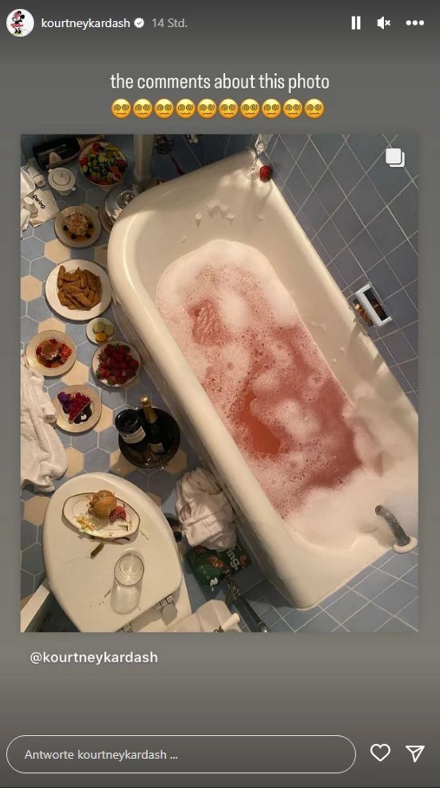 Instagram-User nerven sich über das Essen im Badezimmer.