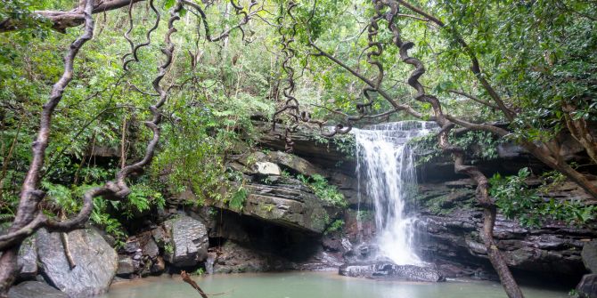 Wasserfall Kura Iriomote Insel