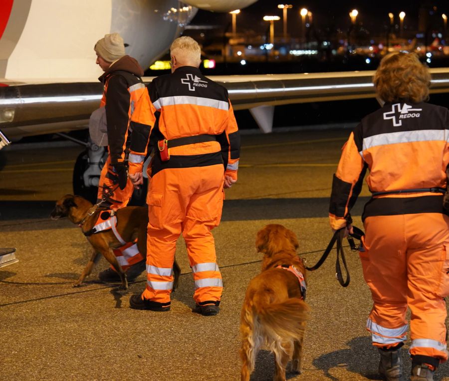 Hundeteams von Redog beim Boarding.