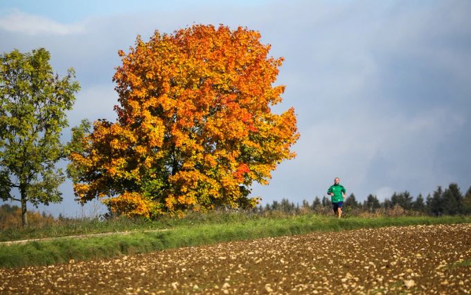 Das sommerliche Wetter gehört im November wohlmöglich der Vergangenheit an. Herbst Wetter