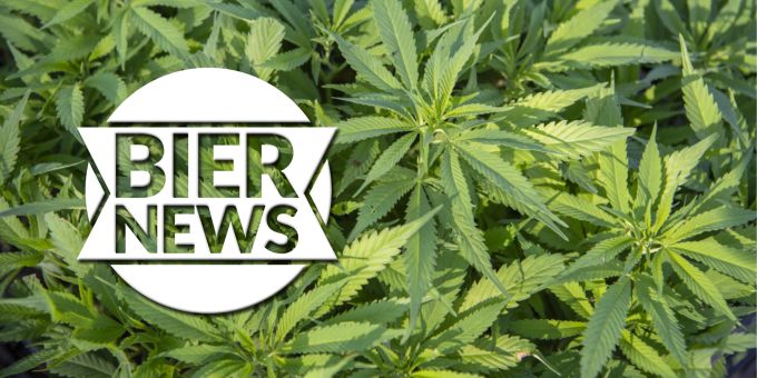 Dumm gelaufen - Kriminelle bauen Cannabis auf Klostergrundstück an
