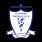 st-joseph-s-fc