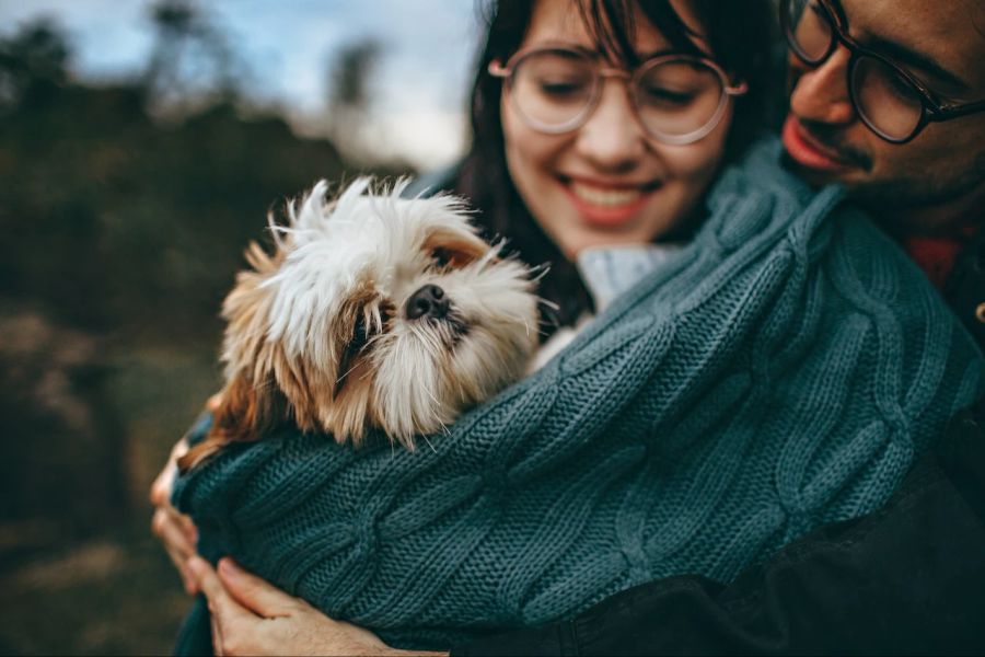 Frau Mann Hund Umarmung Kuscheln