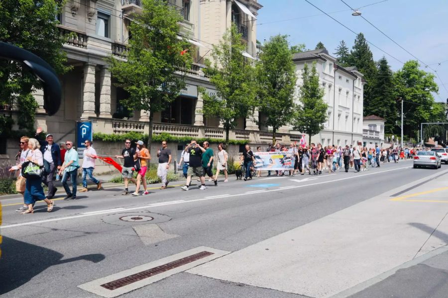 Die Demo gegen die Corona-Massnahmen in Luzern.