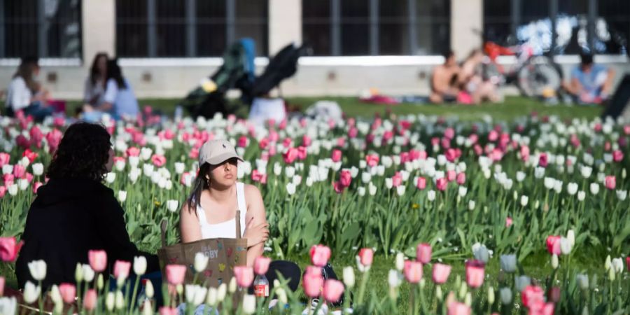 Coronavirus Schweiz Kantone Neuinfektionen