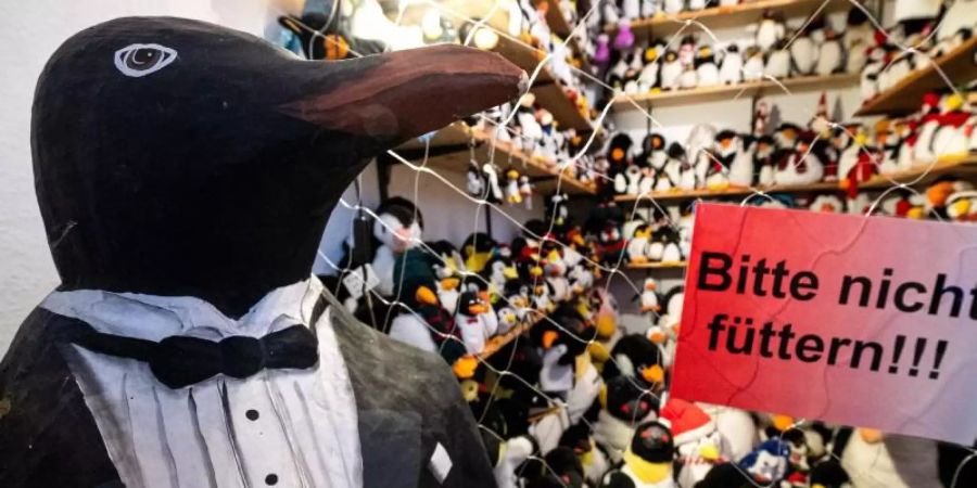 Ob als Plüschtier, als Sammlerfigur oder auf Krawatten - im Pinguin-Museum Cuxhaven wimmelt es vor Frackträgern. Foto: Sina Schuldt/dpa