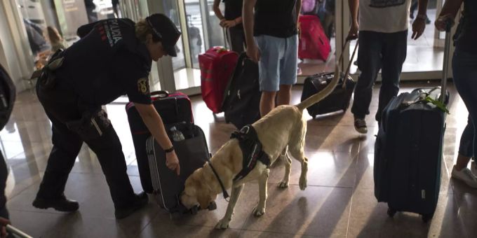 Ein Polizist mit Drogenhund in Spanien. (Archivbild) Drogen Drogenschmuggel Razzia Polizei