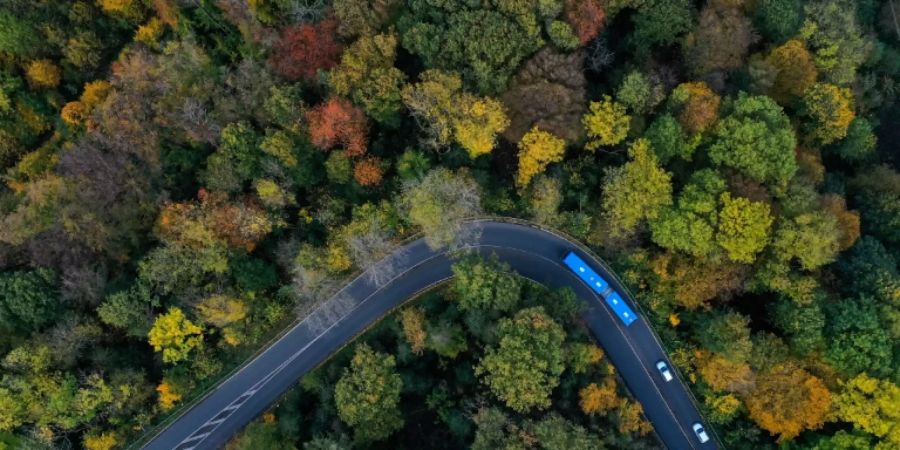 Luftansicht von Waldgebiet in Nordrhein-Westfalen