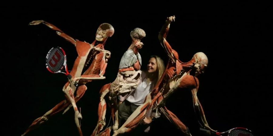 Beispiel einer «Körperwelten»-Ausstellung