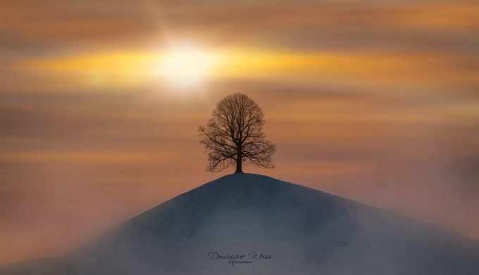 Wärmende Sonnenstrahlen Hirzel