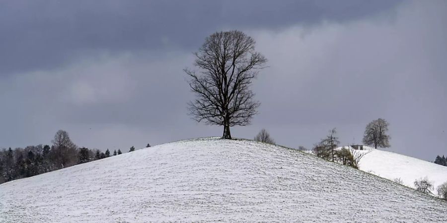 Eine Kaltfront bringt den Winter zurück: Überzuckerte Landschaft in Sattel SZ am Mittwoch.