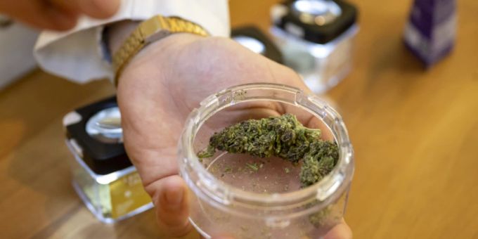 Der Gemeinderat der Stadt Bern hat den Leistungsvertrag mit der Universität Bern für eine Cannabis-Pilotstudie bewilligt. (Archivbild) Studie Cannabis