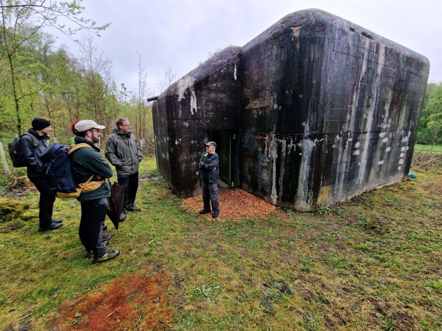 Bunkergöttis pflegen die Bunker