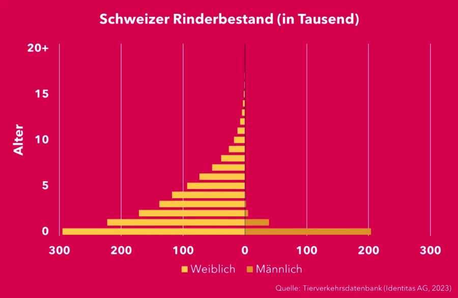 Statistik
