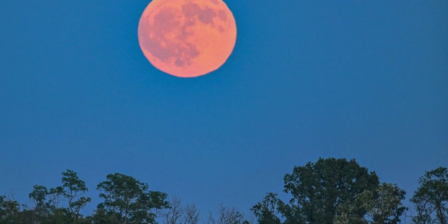 vollmond