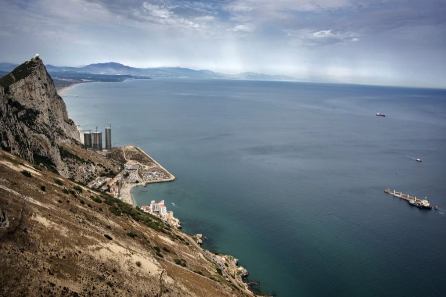 Kein Einzelfall: Zwischen Galizien und Gibraltar häufen sich seit 2020 die Angriffe von Orcas auf Schiffe. (Symbolbild)