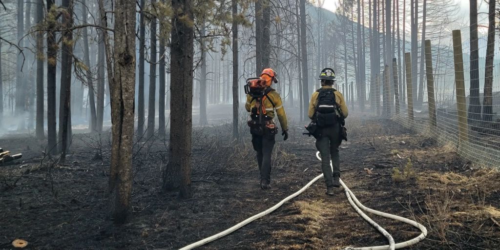 Kanada Zahlreiche Waldbr Nde Haben F R Notstand In Alberta Gesorgt