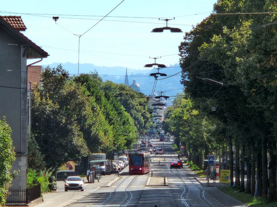 Beim dreifachen optischen Zoom geht schon Qualität verloren, das Bild ist aber brauchbar.