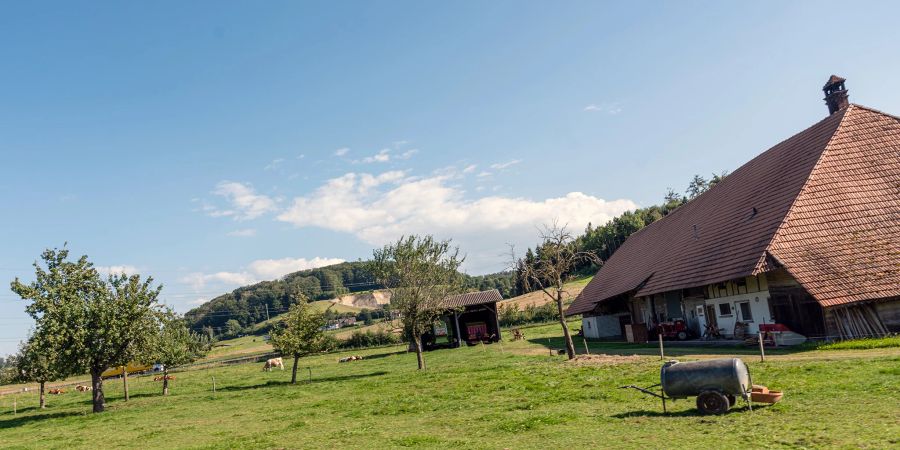 Landschaft mit Bauernhaus bei Düdingen.